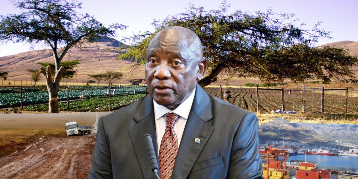 President Cyril Ramaphosa’s State of the Nation Address (Sona) focused on infrastructure, rural development, and the future of farming, including hemp and cannabis. Photo: Food For Mzansi