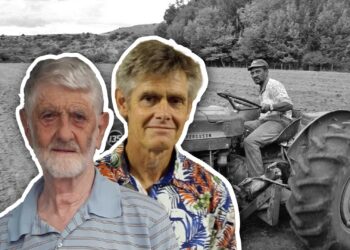 Beyond land ownership: Can training turn the tide?