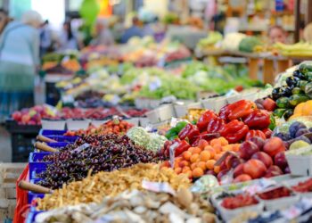 Fruit Logistica: SA fresh produce to shine at global fair