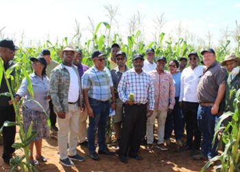 NWU-led workshop explores agri-hub to transform NW farming