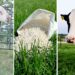 This week’s agri events: 10 – 14 February