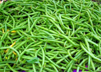 Grow your own green beans and add goodness to your plate