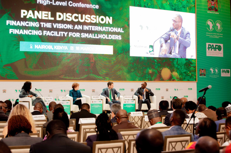 Experts discuss sustainable financing mechanisms at the Nairobi conference, noting the urgent need to boost agricultural lending to smallholder farmers across Africa. Photo: Supplied/African Development Bank Group (AfDB)