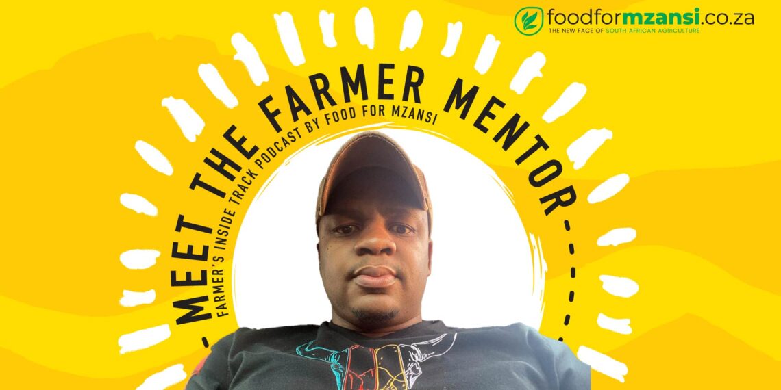 Lufuno Nethsikhudini, a Bonsmara farmer based in Limpopo, shares his journey in agriculture in this episode of Food For Mzansi's Meet The Farmer Mentor Series. Photo: Food For Mzansi