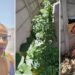 Backyard gardener discovers magic in growing vegetables