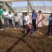 Children from Wielie Walie Kleuterskool en Nasorgsentrum tend to the new food garden, learning valuable skills in gardening and nutrition. Photo: Supplied/Food For Mzansi