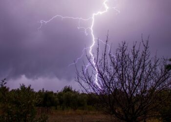 Weather
