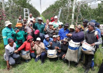 FS farmers hail Remmoho’s impact, seek more govt support