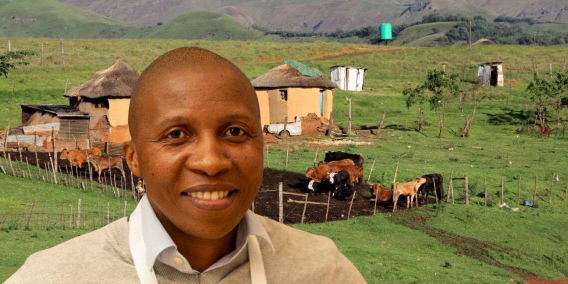Dr Siphe Zantsi is an agricultural economist at the Agricultural Research Council (ARC). In this article, he explores the complexities of land demand, particularly in former homelands. Photo: Food For Mzansi
