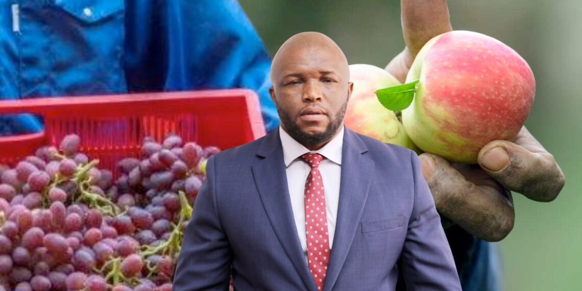 Thabile Nkunjana is a senior agricultural economist with the National Agricultural Marketing Council's trade research unit, gives insight into how South Africa has successfully negotiated new trade deals with Thailand and the Philippines for the export of grapes and apples. Photo: Food For Mzansi