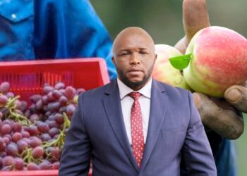 Thailand and Philippines open doors for SA’s top fruits