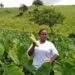 Starting over leads Bayeni to healing harvests