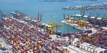 SA’s agricultural exports reach record high despite drought