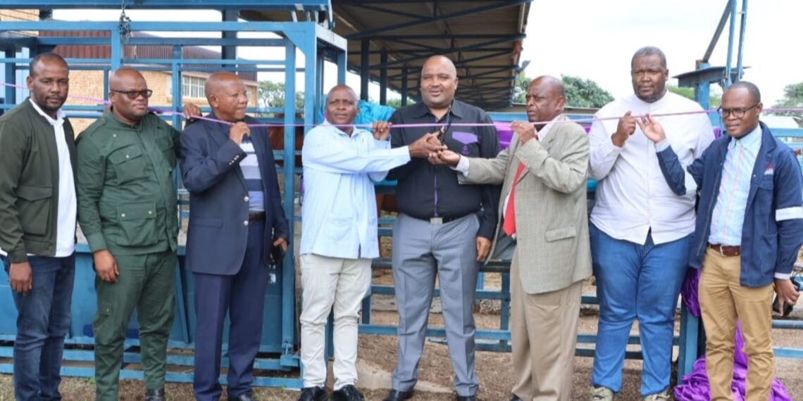 Dignitaries at the ribbon-cutting ceremony of the agri-hub in North West. Photo: Supplied/Food For Mzansi