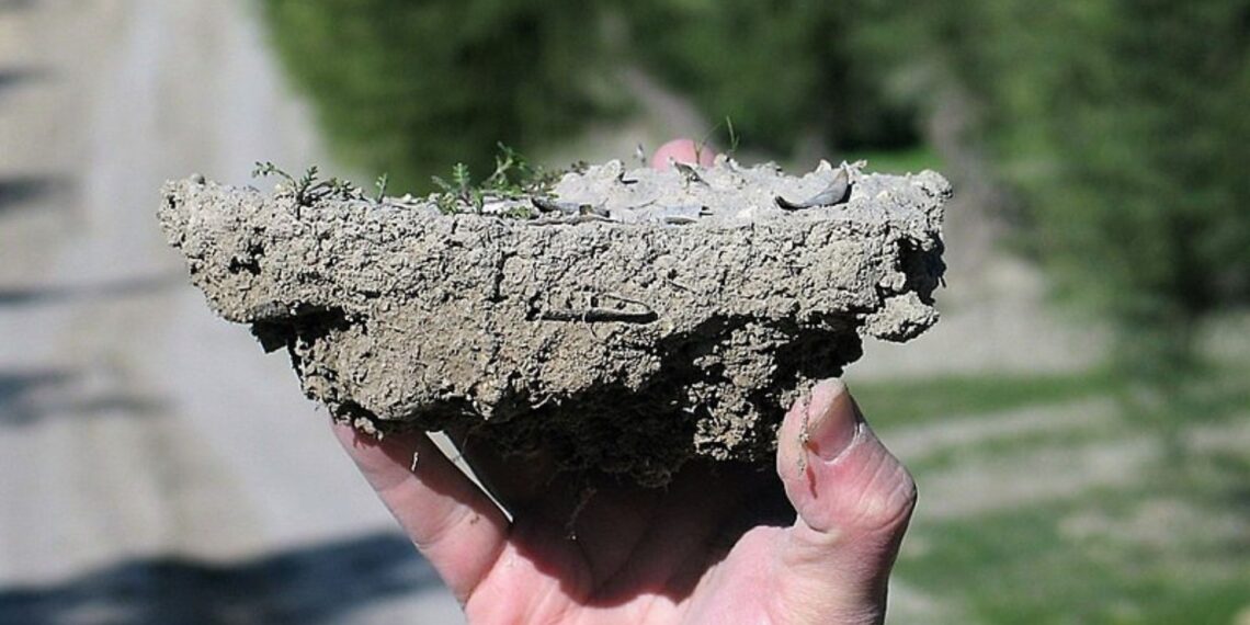 Healthy soil starts with strong soil aggregates that boost microbial activity to improve root growth, water retention, and nutrient availability for better crop yields.