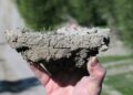 Healthy soil starts with strong soil aggregates that boost microbial activity to improve root growth, water retention, and nutrient availability for better crop yields.