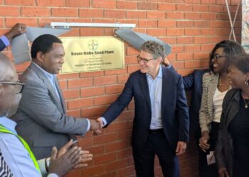 New maize seed factory strengthens Zambia’s food security