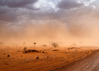 More than money: The high price of inaction on climate change