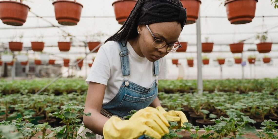 South Africa’s horticultural industry showed resilience in 2024, with long-term export crops rebounding strongly despite ongoing logistical and cost challenges, according to Absa’s Autumn 2025 AgriTrends report. Photo: Supplied/Food For Mzansi