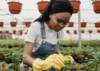 South Africa’s horticultural industry showed resilience in 2024, with long-term export crops rebounding strongly despite ongoing logistical and cost challenges, according to Absa’s Autumn 2025 AgriTrends report. Photo: Supplied/Food For Mzansi