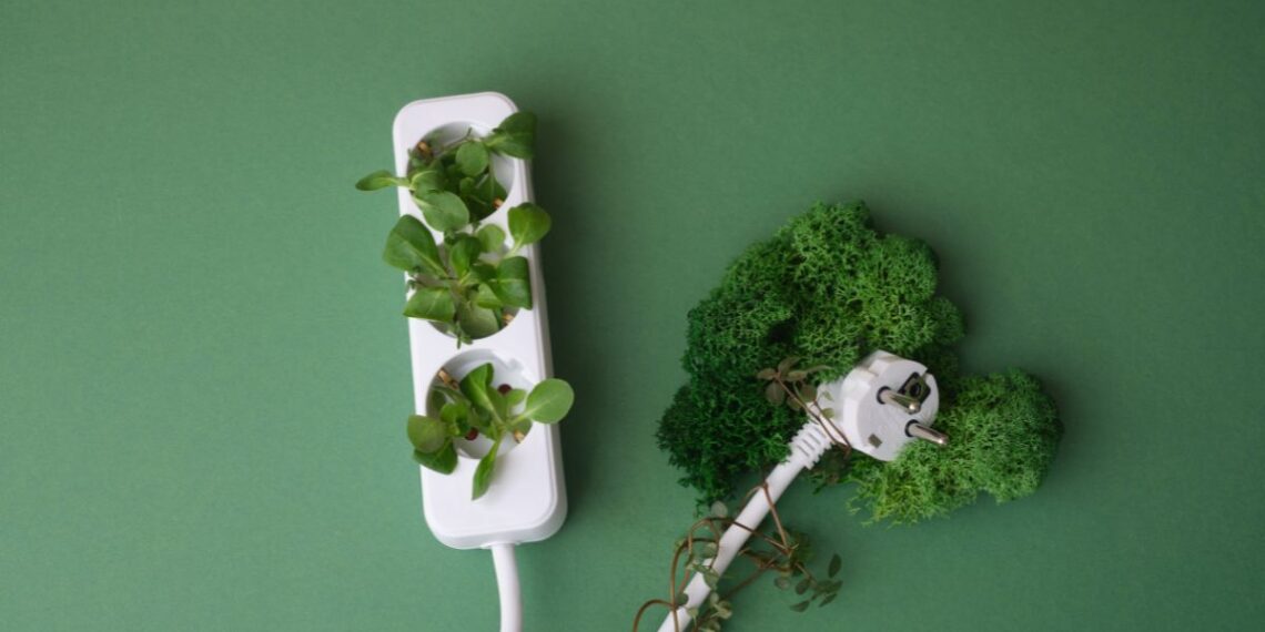 Agriculture plays a key role in global food security but also contributes significantly to greenhouse gas emissions. Absa’s latest AgriTrends report highlights the importance of accurate emission measurement and financial support to drive sustainable practices in the sector. Photo: Supplied/Food For Mzansi