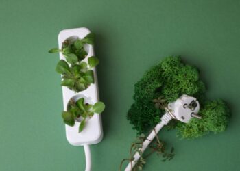 Agriculture plays a key role in global food security but also contributes significantly to greenhouse gas emissions. Absa’s latest AgriTrends report highlights the importance of accurate emission measurement and financial support to drive sustainable practices in the sector. Photo: Supplied/Food For Mzansi