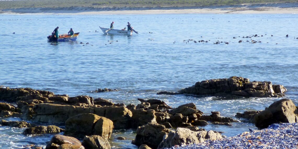 Small-scale fishers
