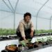 Living Soils internship empowers women, feeds communities