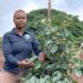 Lutendo Nevondo beams with pride as she prepares to harvest litchis on her thriving Limpopo farm – a far cry from the early days of starting with no water, no staff, and no fence. Photo: Supplied/Lutendo Nevondo