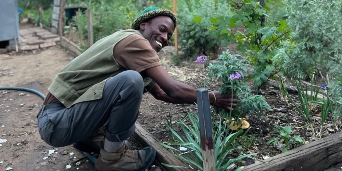 Mphathi Motha turned his backyard garden into a hub of sustainable farming, permaculture training, and environmental education. Photo: Supplied/Food For Mzansi