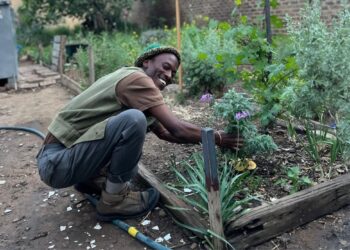 Mphathi Motha turned his backyard garden into a hub of sustainable farming, permaculture training, and environmental education. Photo: Supplied/Food For Mzansi