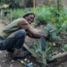 Former Soweto DJ finds rhythm in sustainable farming