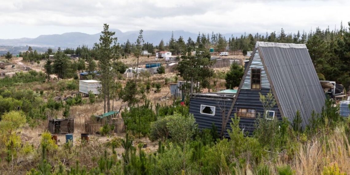 Khoisan families living on government-owned land near Grabouw face an uncertain future. Photos: Ashraf Hendricks