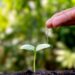The University of the Free State’s Green Futures Hub has been selected to host the South African Circular Agriculture Initiative, advancing sustainable farming through science, technology, and innovation. Photo: Supplied/Food For Mzansi