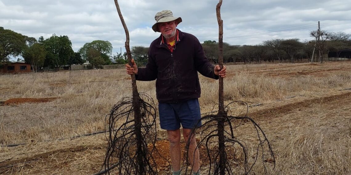 Richard Ball’s self-sustaining farm in Limpopo proves that success lies in choosing what you can manage and working in harmony with nature.
Photo: Supplied/Food For Mzansi