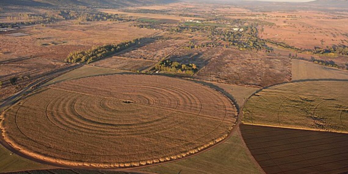 Efficient water management is crucial for sustainable farming. Experts advise farmers to invest in systems that reduce water waste and ensure every drop counts.