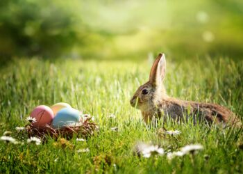 This week’s agri events: 14 – 18 April