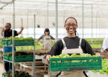 sproot brings WhatsApp-powered farming to smallholders