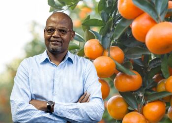 CGA’s Dr Ntshabele charts bold citrus future for SA