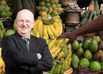 SA agriculture thrives, but households go hungry