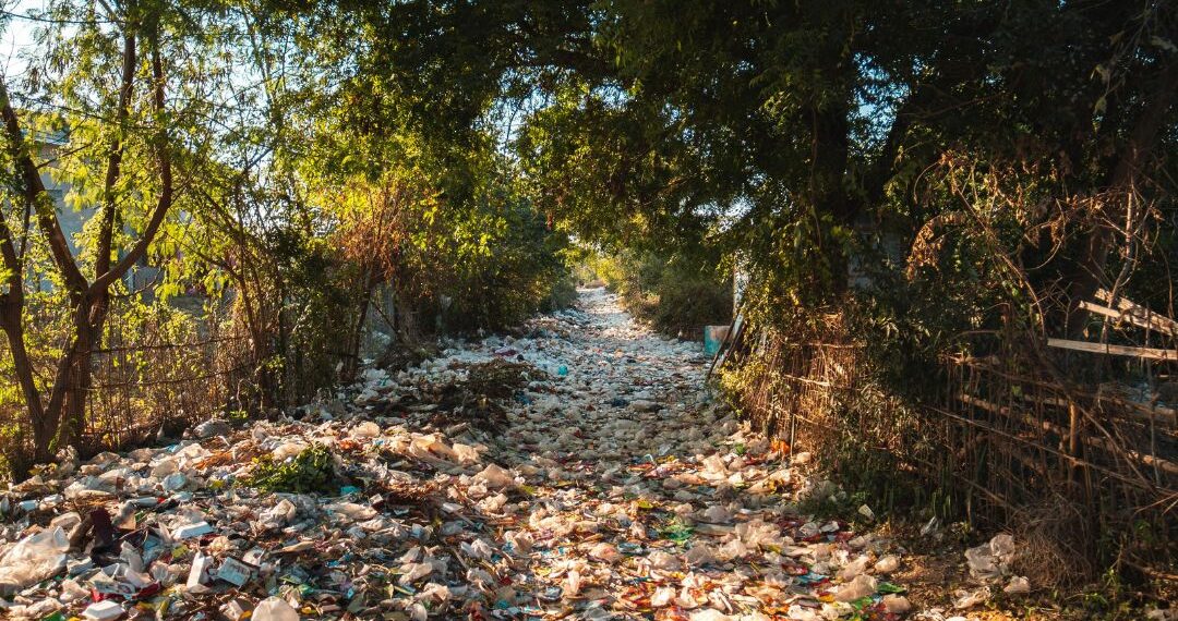 Mountains of discarded food highlight South Africa’s urgent need to tackle food waste at every stage of the supply chain. Photo: Supplied/Food For Mzansi