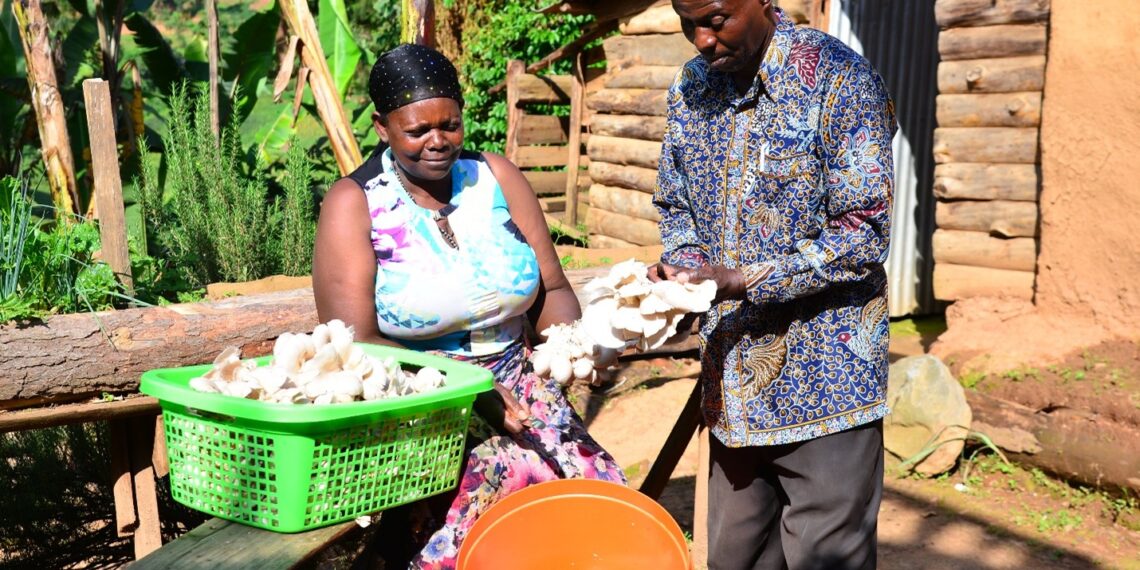 Once mocked for growing mushrooms, Tumuhimbise Kedress now inspires her community with harvests that support her family and help save the endangered Grey Crowned Crane. Photo: Supplied/Food For Mzansi
