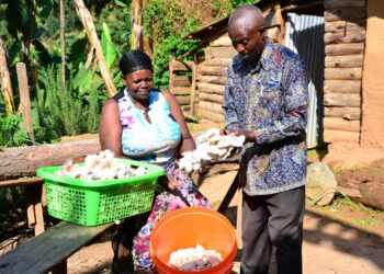 Once mocked for growing mushrooms, Tumuhimbise Kedress now inspires her community with harvests that support her family and help save the endangered Grey Crowned Crane. Photo: Supplied/Food For Mzansi