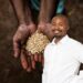 Sansor: How to spot uncertified seed and why it matters