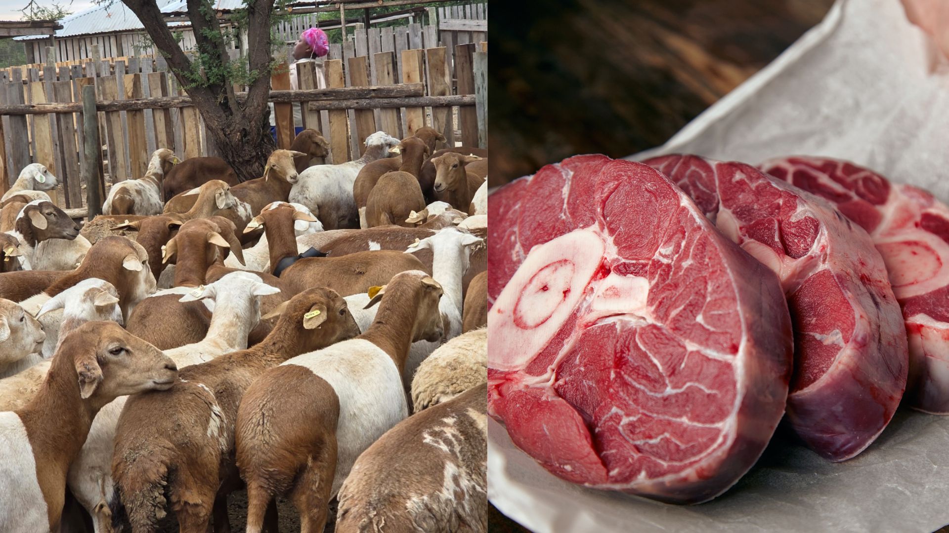 Top farming highlights: From gourmet goats to digital reform