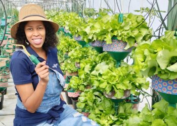 Urban roots: Akhona’s rise from jobless to thriving rooftop farmer