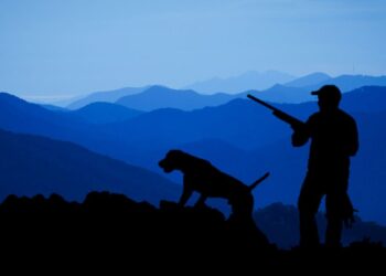 Dogs used in illegal hunts pose a growing threat to farms and wildlife. Photo: Supplied/Food For Mzansi