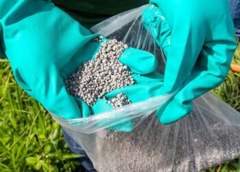 Drop in oil prices sparks hopes of cheaper fertiliser