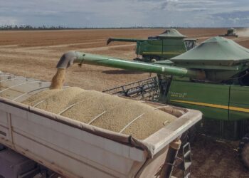 A BCG report reveals how investing in African agriculture could achieve up to 50% of the UN SDGs, transform food security, empower women, and drive global development. Photo: Pexels