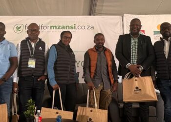 Land Bank: Blended finance gives SA farmers a fighting chance